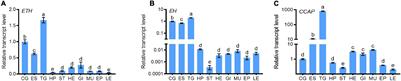 Ecdysis Triggering Hormone, Eclosion Hormone, and Crustacean Cardioactive Peptide Play Essential but Different Roles in the Molting Process of Mud Crab, Scylla paramamosain